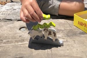 Animal upon Animal Crest Climbers stacking