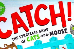 Catch! The Stragegic Game of Cats and Mouse