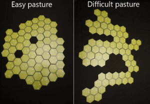 easy pasture; difficult pasture