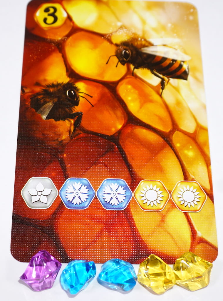 SNAP Review Bees The Secret Kingdom The Family Gamers